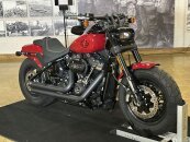 2021 Harley-Davidson Softail