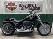2021 Harley-Davidson Softail Fat Boy 114