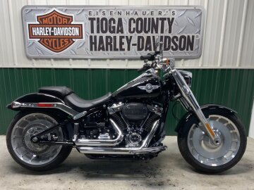 2021 Harley-Davidson Softail Fat Boy 114