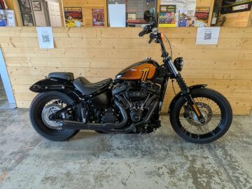 2021 Harley-Davidson Softail