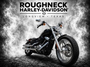 2021 Harley-Davidson Softail