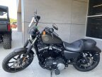 Thumbnail Photo 3 for 2021 Harley-Davidson Sportster Iron 883