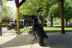 Thumbnail Photo 5 for 2021 Harley-Davidson Sportster Iron 1200