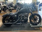 Thumbnail Photo 4 for 2021 Harley-Davidson Sportster