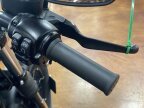 Thumbnail Photo 2 for 2021 Harley-Davidson Sportster