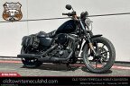 Thumbnail Photo 4 for 2021 Harley-Davidson Sportster Iron 883
