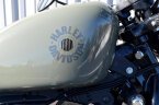 Thumbnail Photo 3 for 2021 Harley-Davidson Sportster Iron 883