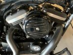 Thumbnail Photo 3 for 2021 Harley-Davidson Sportster Iron 883