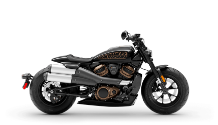 Photo 1 for 2021 Harley-Davidson Sportster