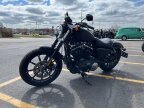 Thumbnail Photo 6 for 2021 Harley-Davidson Sportster Iron 883
