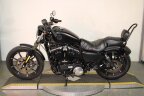 Thumbnail Photo 6 for 2021 Harley-Davidson Sportster Iron 883