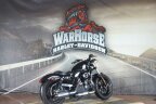 Thumbnail Photo 2 for 2021 Harley-Davidson Sportster Forty-Eight