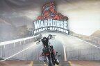 Thumbnail Photo 3 for 2021 Harley-Davidson Sportster Forty-Eight
