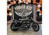 2021 Harley-Davidson Sportster Iron 883