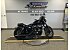 2021 Harley-Davidson Sportster Iron 883