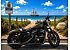2021 Harley-Davidson Sportster Iron 883