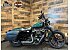 2021 Harley-Davidson Sportster Iron 883