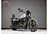 2021 Harley-Davidson Sportster Iron 1200