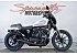 2021 Harley-Davidson Sportster Iron 1200