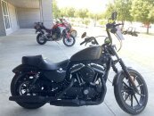 2021 Harley-Davidson Sportster Iron 883