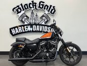 2021 Harley-Davidson Sportster Iron 883