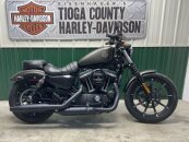 2021 Harley-Davidson Sportster Iron 883