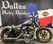 2021 Harley-Davidson Sportster Iron 883