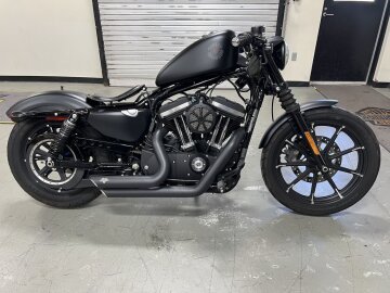 2021 Harley-Davidson Sportster Iron 883