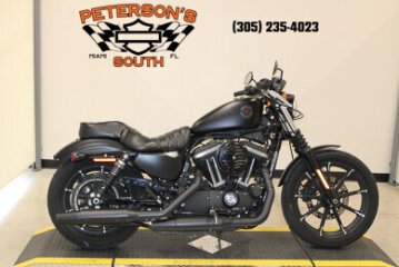 2021 Harley-Davidson Sportster Iron 883