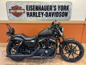 2021 Harley-Davidson Sportster Iron 883
