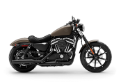 2021 Harley-Davidson Sportster Iron 883