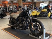 2021 Harley-Davidson Sportster Iron 883