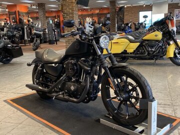 2021 Harley-Davidson Sportster Iron 883