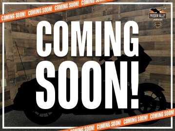 2021 Harley-Davidson Sportster Iron 1200