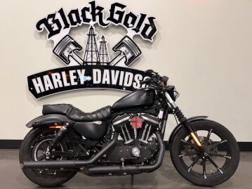 2021 Harley-Davidson Sportster Iron 883