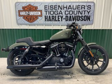 2021 Harley-Davidson Sportster Iron 883