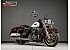 2021 Harley-Davidson Touring Road King