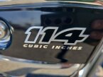 Thumbnail Photo 4 for 2021 Harley-Davidson Trike