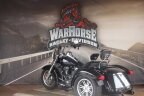Thumbnail Photo 3 for 2021 Harley-Davidson Trike Freewheeler