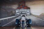 Thumbnail Photo 5 for 2021 Harley-Davidson Trike Freewheeler