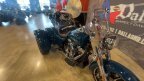 Thumbnail Photo 5 for 2021 Harley-Davidson Trike Freewheeler