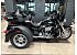 2021 Harley-Davidson Trike