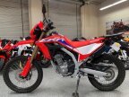 Thumbnail Photo 1 for 2021 Honda CRF300L ABS