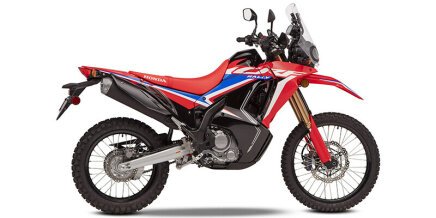 Photo 1 for 2021 Honda CRF300L Rally ABS