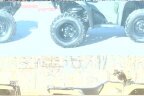 Thumbnail Photo 1 for 2021 Honda FourTrax Foreman Rubicon 4x4 Automatic DCT EPS Deluxe