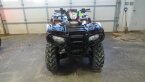 Thumbnail Photo 1 for 2021 Honda FourTrax Foreman Rubicon