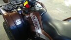 Thumbnail Photo 5 for 2021 Honda FourTrax Foreman Rubicon