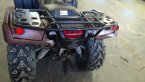Thumbnail Photo 2 for 2021 Honda FourTrax Foreman Rubicon