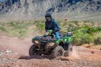 Thumbnail Photo 3 for New 2021 Honda FourTrax Foreman Rubicon 4x4 Automatic DCT