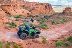 Thumbnail Photo 1 for New 2021 Honda FourTrax Foreman Rubicon 4x4 Automatic DCT
